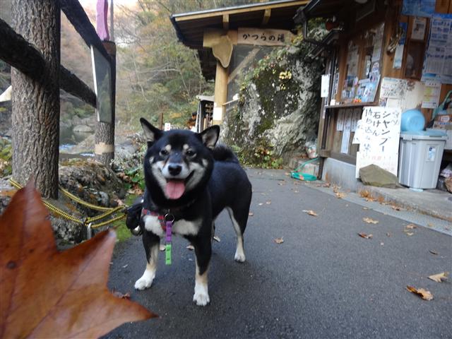 有矢山は七ヶ宿の里山_a0127015_2243499.jpg