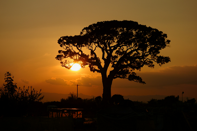 b0284519_1145970.jpg