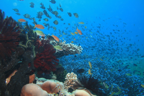 c0115421_21511422.jpg