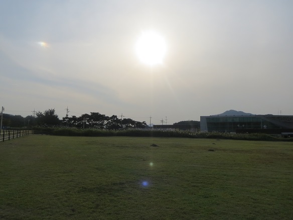 e0201021_16279.jpg