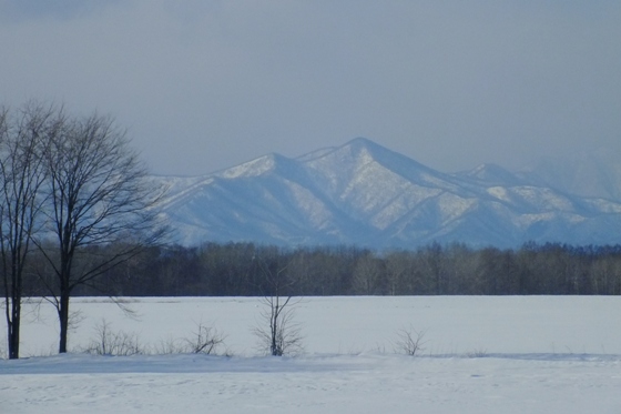 e0231023_0551531.jpg