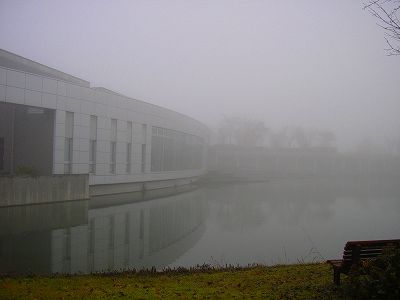 今朝の ジェム ＆ メロ ～ 八色の森公園でお散歩_d0015124_13402306.jpg