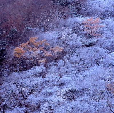 b0199226_843114.jpg