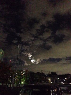 e0329526_22281498.jpg