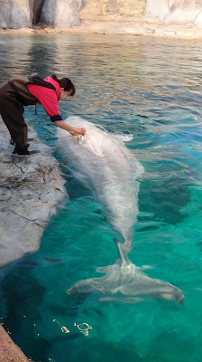 名古屋港水族館_b0069630_14103415.jpg