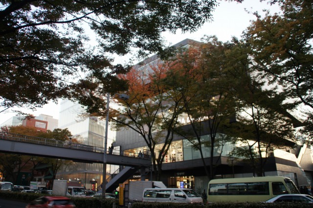 a0122932_1050263.jpg