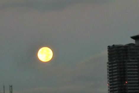 c0236632_8295386.jpg