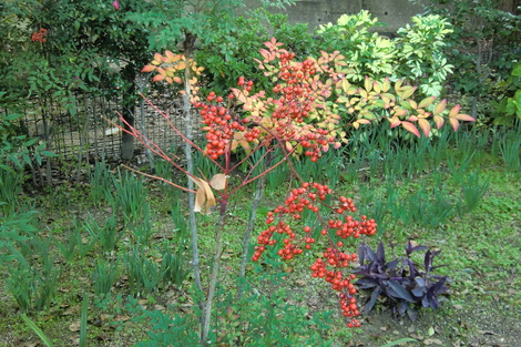 c0236632_831090.jpg