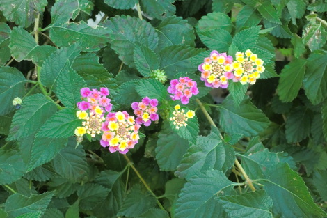 c0236632_832313.jpg