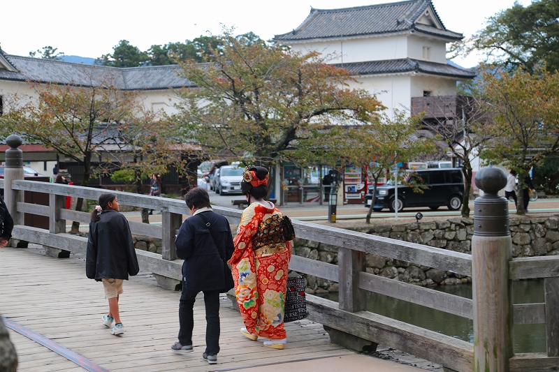 京都・滋賀巡り二日目（８）彦根城｛１｝_f0229832_12384039.jpg