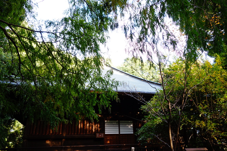 a0287336_20111097.jpg