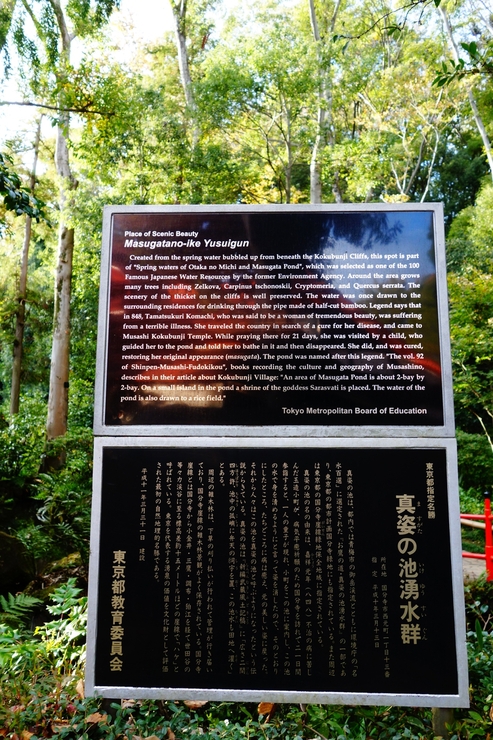 a0287336_2025142.jpg