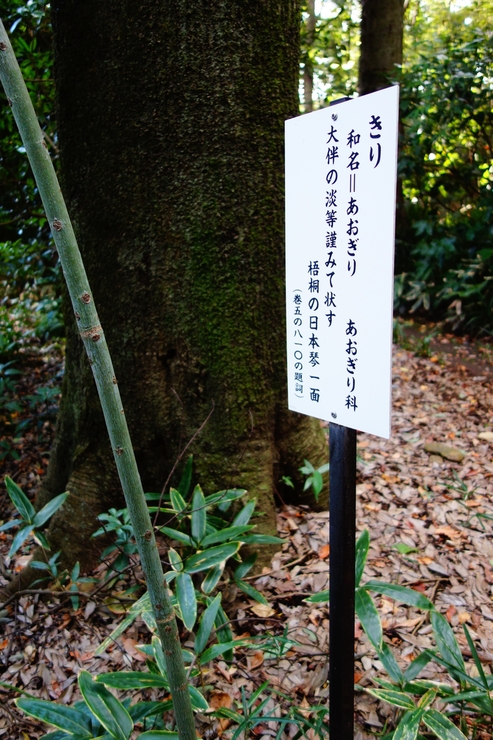 a0287336_20322278.jpg