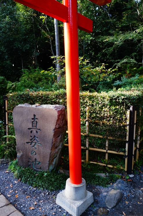 a0287336_2051238.jpg
