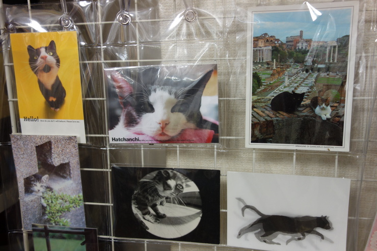 Npo法人東京キャットガーディアン 西国分寺 猫カフェ型開放型シェルター 西立川からぶらぶら その10 趣味はウォーキングでは無い Npo法人東京キャットガーディアン 西国分寺 猫カフェ型開放型シェルター 西立川からぶらぶら その10 趣味はウォーキングでは無い