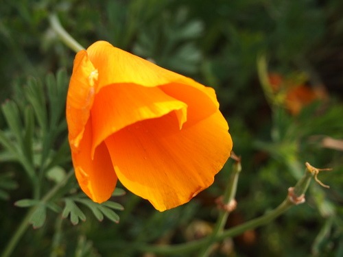 c0117239_9134694.jpg