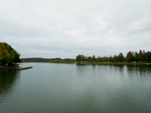 f0209740_1354366.jpg