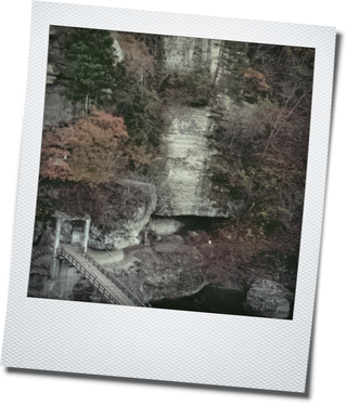 d0155744_10344879.png
