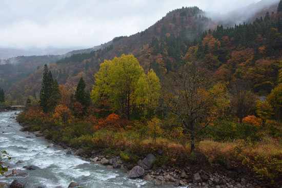 c0093046_8284050.jpg
