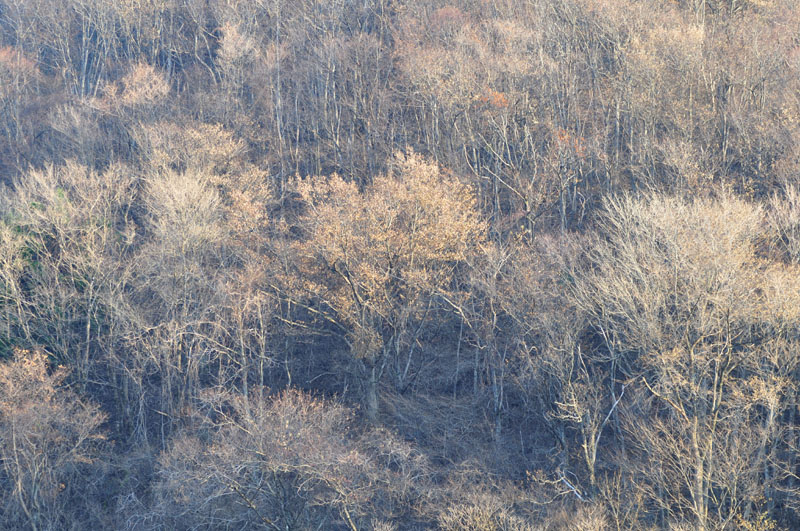 c0077847_11494894.jpg