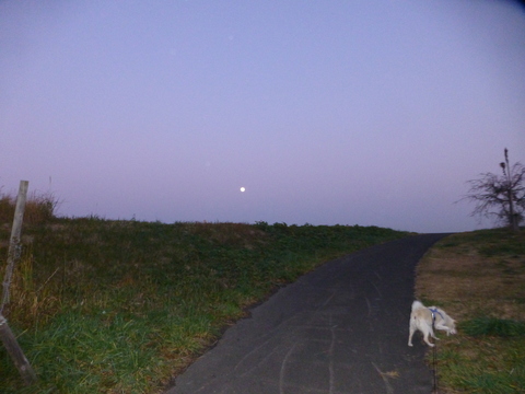 b0238249_20343425.jpg
