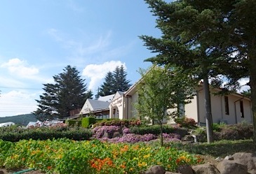 b0025850_18441159.jpg