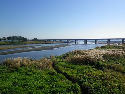 城下町おだわらツーデーマーチ１日目　小田原コース　20km_b0220251_64685.jpg