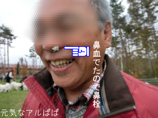 a0166954_214075.png