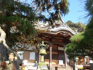 b0292155_1625251.jpg