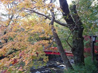 b0292155_16354770.jpg