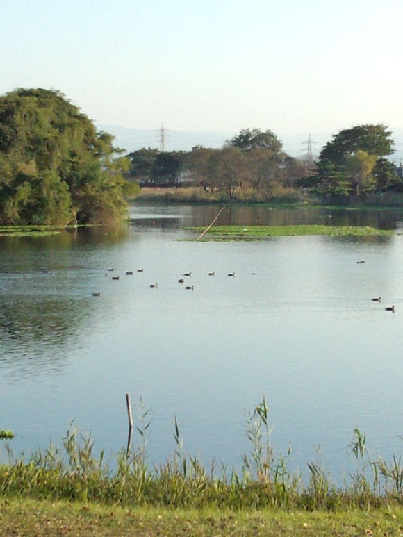 a0098757_2029331.jpg