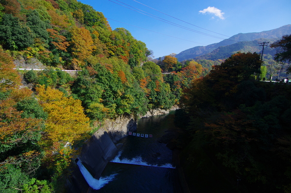 c0214259_21432668.jpg