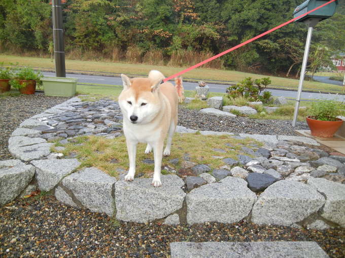’13,11,18(月)もう新パソコンが来ました!_f0060461_1531911.jpg