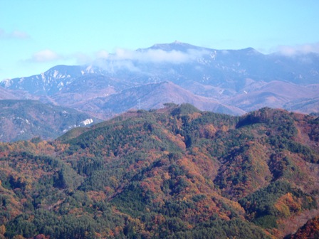 d0032262_2205666.jpg