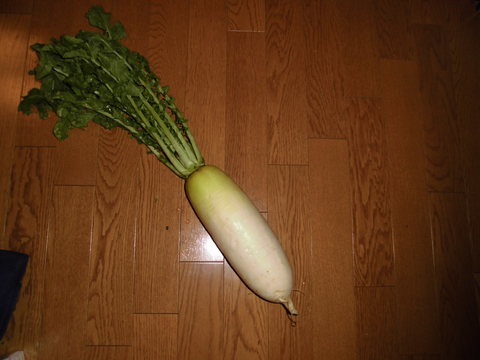 f0098562_19345467.jpg