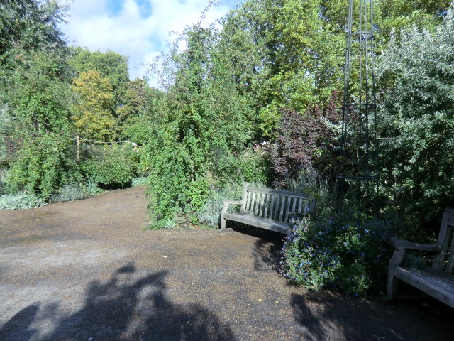 a0134568_17395599.jpg