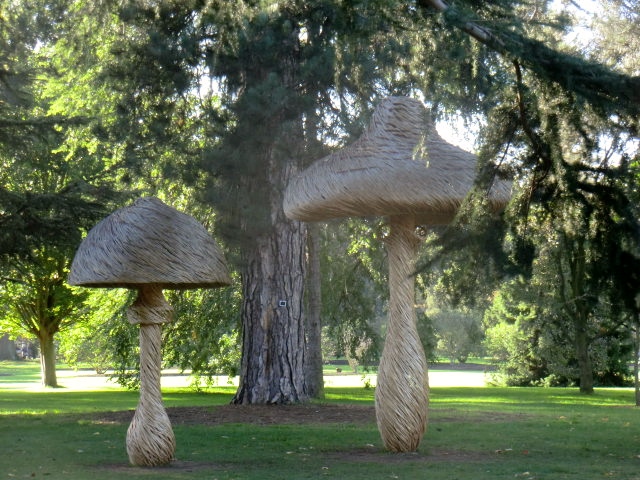 a0134568_17403809.jpg