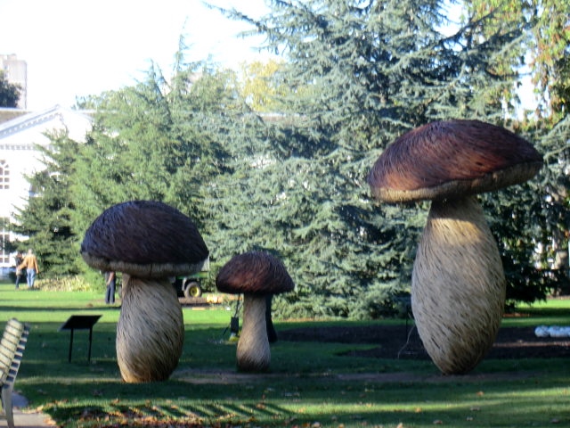 a0134568_17405681.jpg