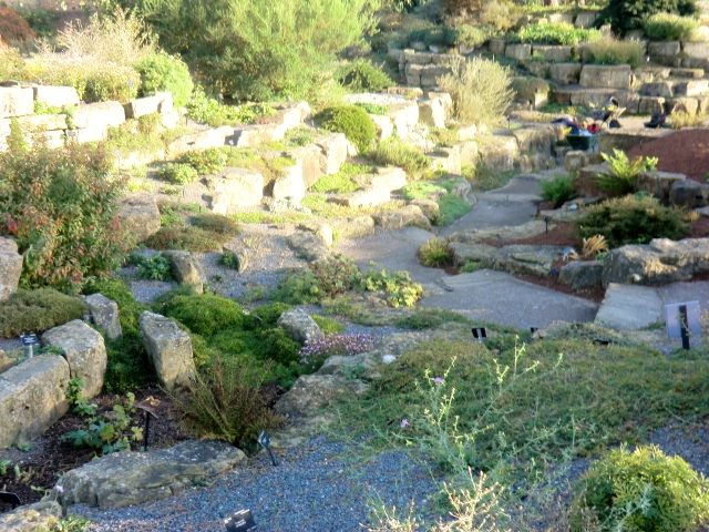 a0134568_17410344.jpg