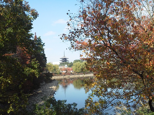 錦秋の奈良公園を散策しました＆道頓堀にアジアからの観光客戻る　_d0204668_1223032.jpg