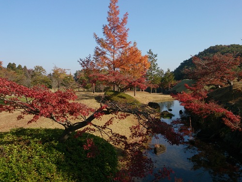 一足早く紅葉!_e0212073_6572063.jpg