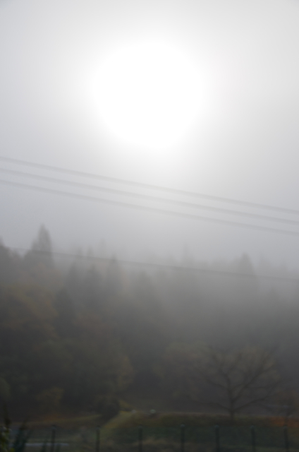 c0268774_2054151.jpg