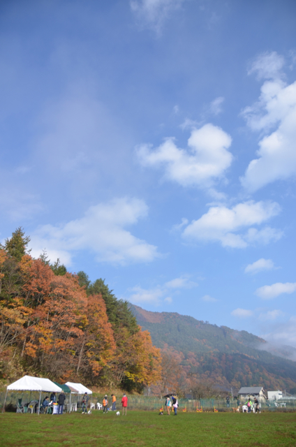 c0268774_20551675.jpg