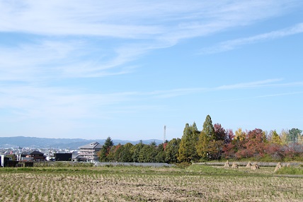 山の辺の道ハイキング　　　　　（１１月１４日）_d0077681_202122.jpg