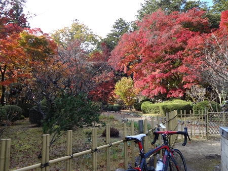 紅葉の大窪寺へ_e0201281_773099.jpg