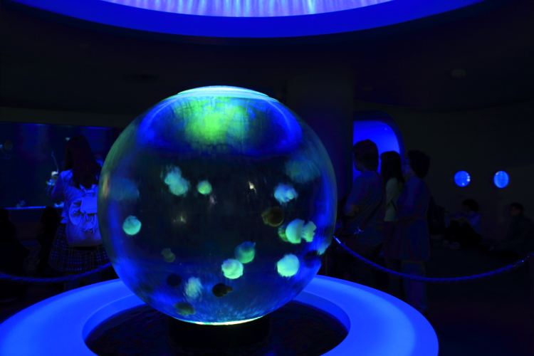 c0239983_33354.jpg