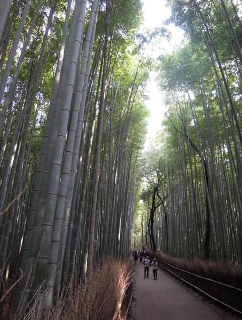 京都へ　（嵐山~六角堂）_d0195183_2361445.jpg