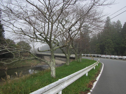 京都琴滝&パンポタ　亀岡〜日吉ダム_a0251786_19381057.jpg