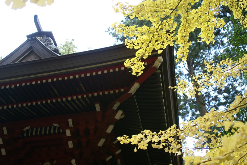 b0183886_01192145.jpg