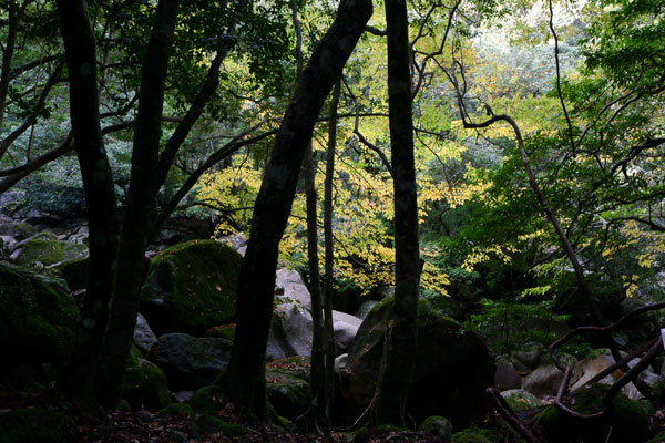 c0168986_16341029.jpg